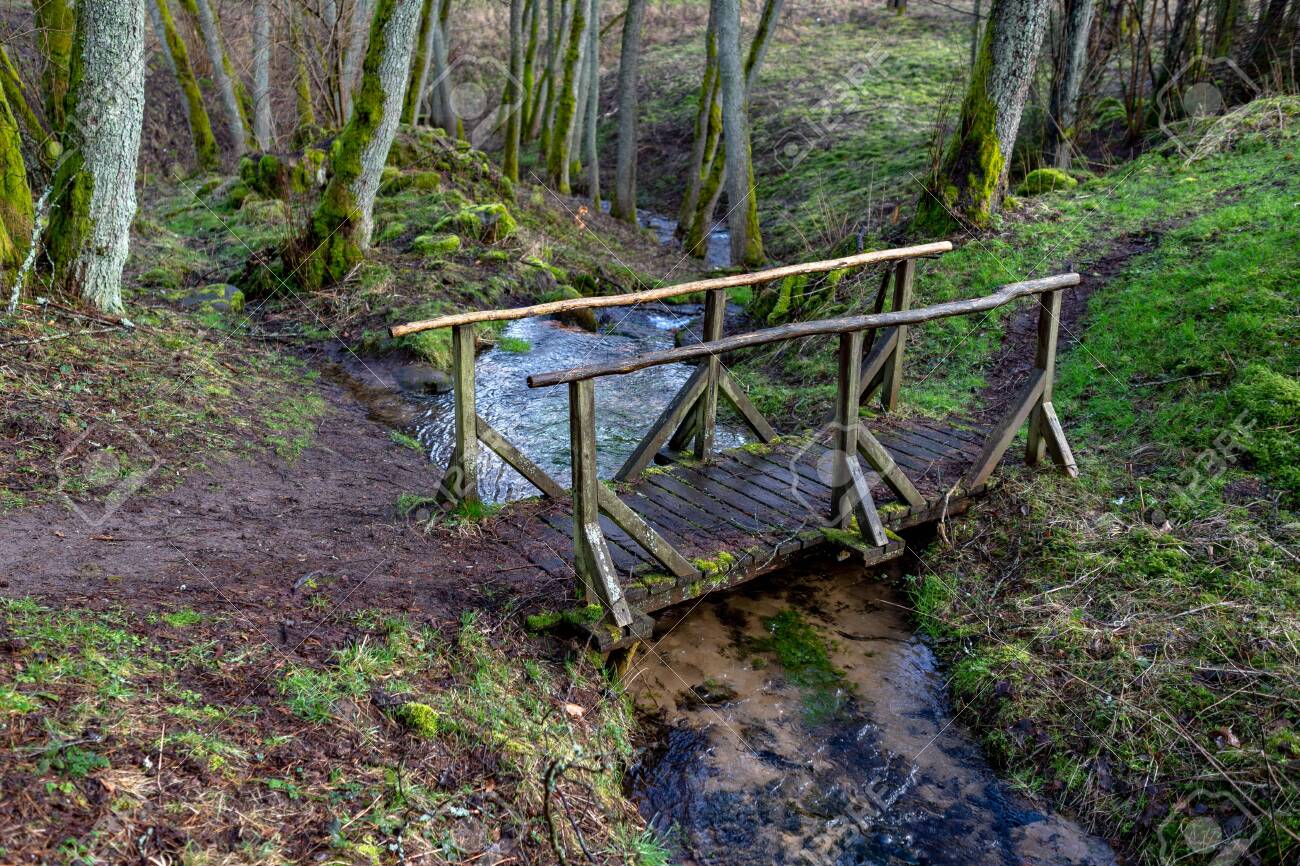 落葉樹林の真ん中にある小川を渡る絵のように美しい木製の橋